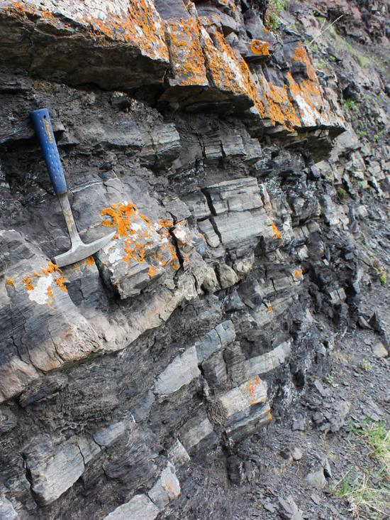 阿拉斯加北坡中上三叠统Shublik组岩石露头&nbsp;| 这些黑色的深水泥岩就是当地产生油气的烃源岩，也是页岩气的蕴藏地层。图源@文献[36]