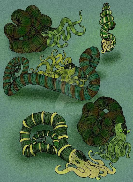 诺斯特菊石科（Nostoceratidae）的日本菊石，俗称奥利给。图片来源：DeviantArt。