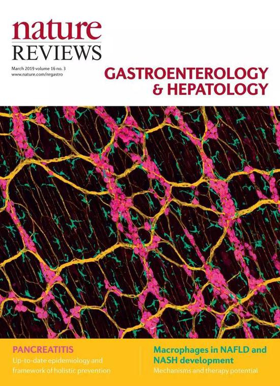 2019年3月 第16卷 第3期