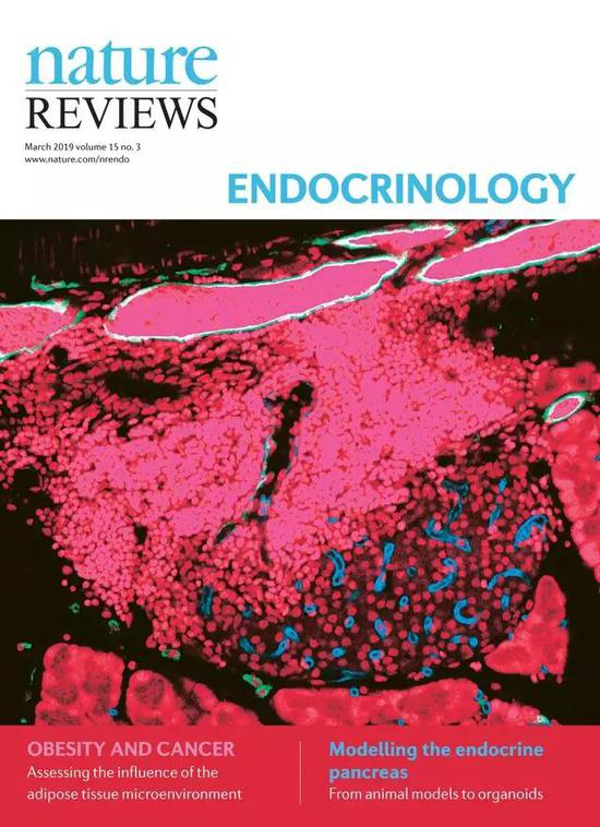 2019年3月 第15卷 第3期