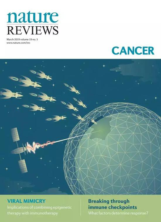 2019年3月 第19卷 第3期