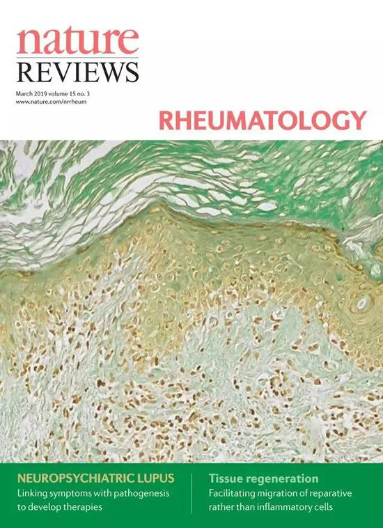 2019年3月 第15卷 第3期