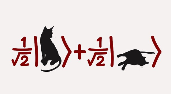 ▲薛定谔的猫现在已经成为了一种流行文化 来源：medium.com
