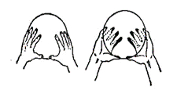 图 | 传球手型 来源：图书《球类运动——排球》