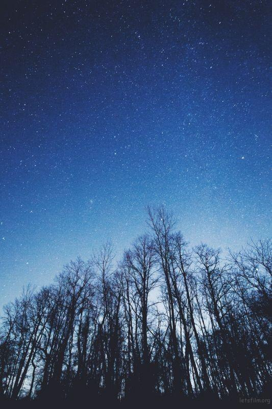 Photo by Noah Silliman on Unsplash