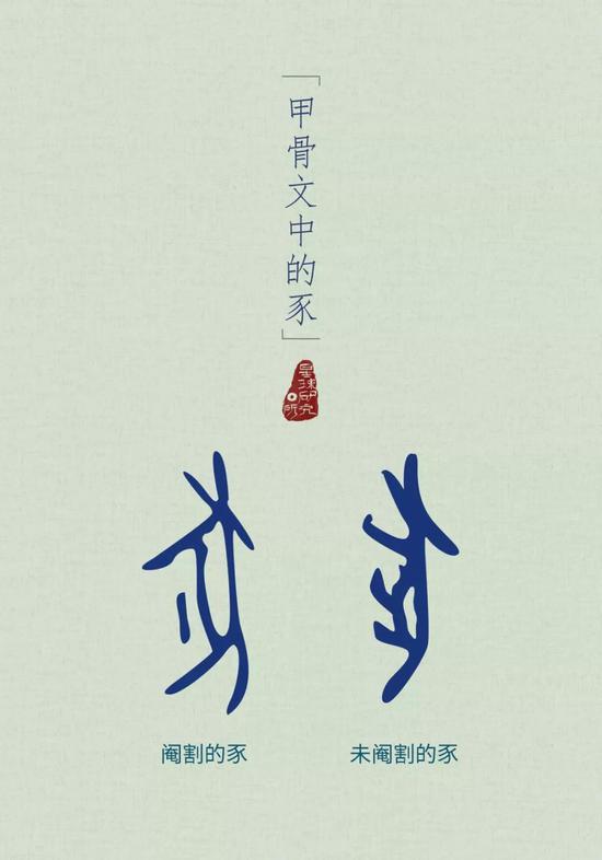 寿命也受到人类的控制