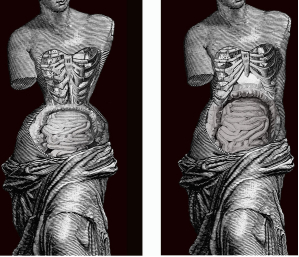 穿着束身衣对身体的影响 | Valencian Museum of Ethnology