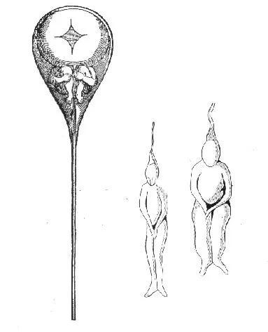 尼古拉斯·哈特索克认为，精子中住着一个个小人。（来源：wikipedia）