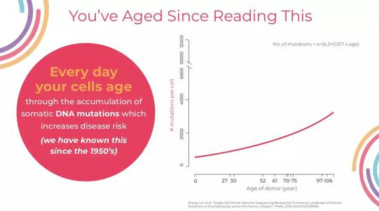 （细胞基因突变数目与年龄关系，图片源自Everalabs官方提供）