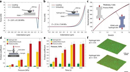 图4。 a橡胶表面弹性模量；b水凝胶皮肤表面弹性模量；c制备水凝胶皮肤前后，橡胶的整体硬度对比；d摩擦系数随压强的变化对比；e摩擦系数随时间的推移对比；f水凝胶皮肤被长时间摩擦前后对比
