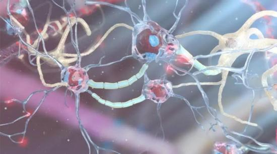 神经元（蓝色）和神经胶质（白色）示意图