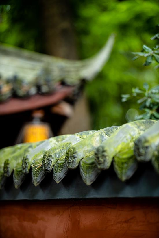 EOS R+RF85mm F/1.2L USM拍摄