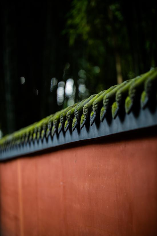 EOS R+RF85mm F/1.2L USM拍摄