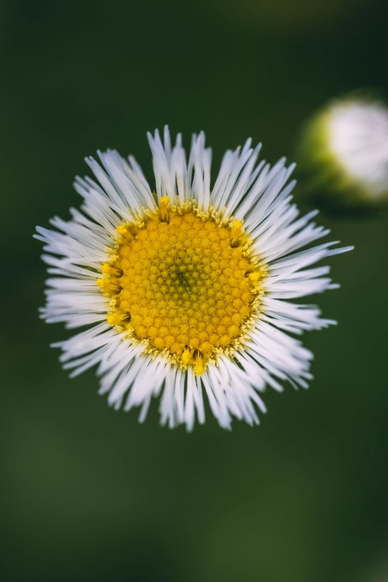 　　焦距：100mm　 光圈：f/5.6　 ISO感光度：250　 曝光时间：1/60s　 曝光补偿：0EV　 白平衡：自动