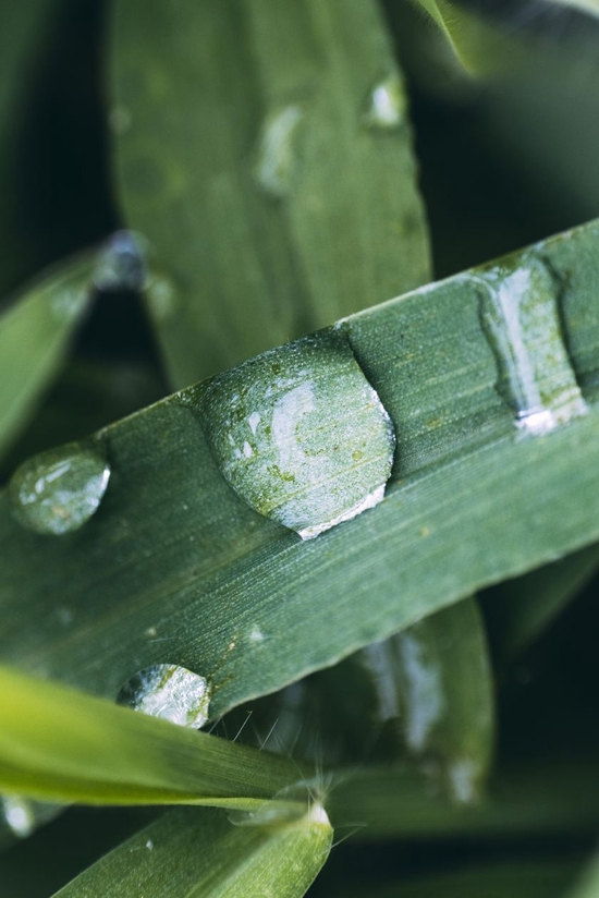 　　焦距：100mm　 光圈：f/5.6　 ISO感光度：1000　 曝光时间：1/125s　 曝光补偿：0EV　 白平衡：自动