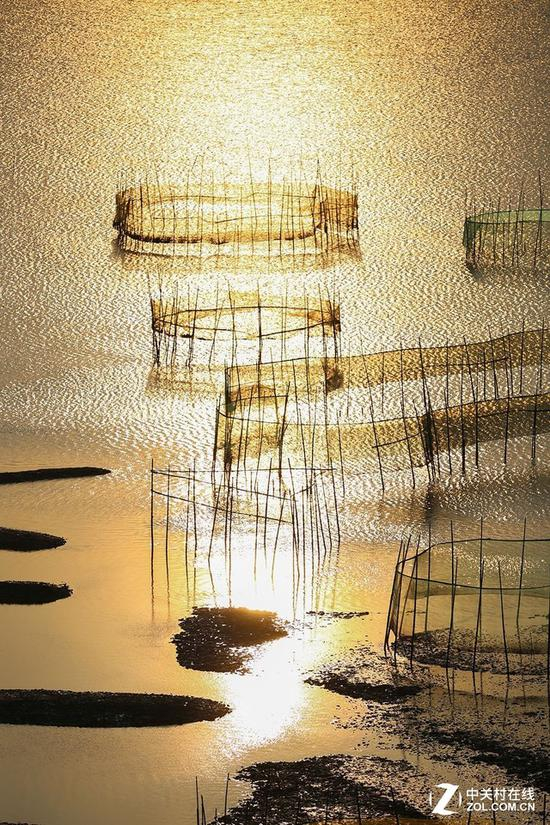 EF 70-200mm f/2.8L IS III USM实拍样张