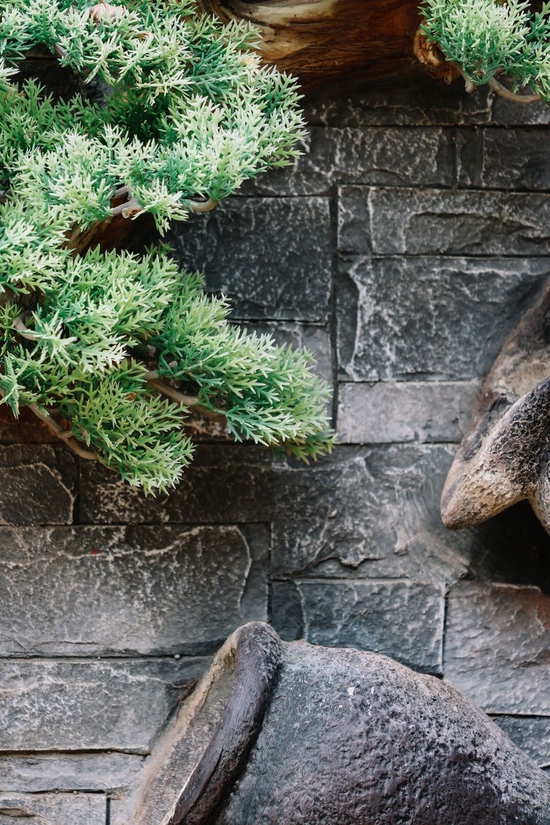 　　焦距：100mm　 光圈：f/6.3　 ISO感光度：320　 曝光时间：1/200s　 曝光补偿：0EV　 白平衡：自动