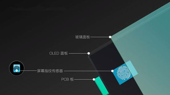 屏下指纹识别结构图&nbsp;光学方案（图片来自synaptics官网）