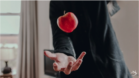 image via Sheldon Evans