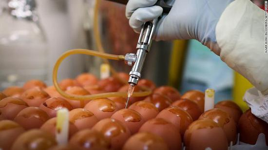 ▲技术人员将流感病毒的病毒株注射入鸡蛋（图源：CNN）
