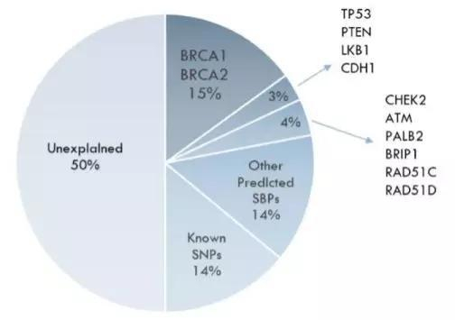 多数遗传性乳腺癌卵巢癌综合征（＞90%）是由BRCA1/2突变所致。图片来源：参考文献[6]。