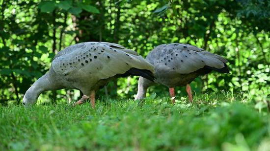 4K样片原片静态截图