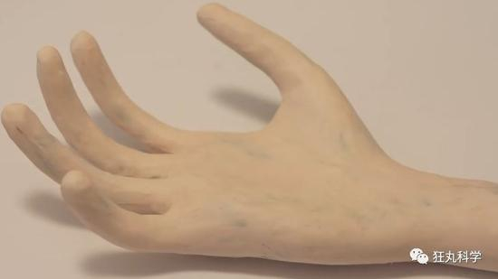 （图片素材来源自TED-Ed）