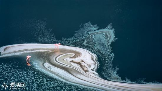 《我们的星球》屏摄