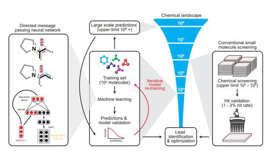 机器学习发现抗生素
