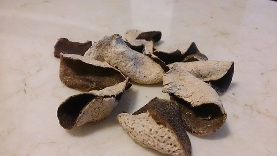 　陈皮 来源丨维基百科