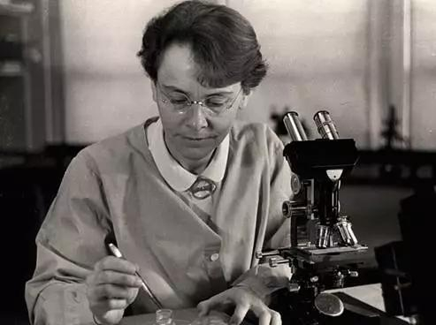 图丨1983&nbsp;年诺贝尔生理学或医学奖得主巴巴拉·麦克林托克