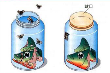 雷迪实验简易图