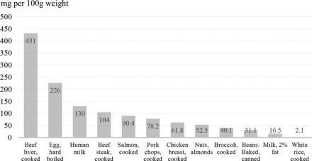 不同食物的单位胆碱含量