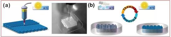  图2 &nbsp;3D打印制备物理交联水凝胶。（a）3D 打印水凝胶结构。（b）冷冻-解冻循环后处理制备高强度、耐溶胀水凝胶。
