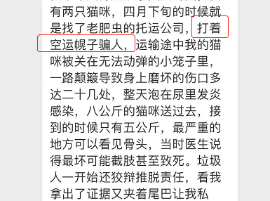 某网友的猫曾经在托运中受伤