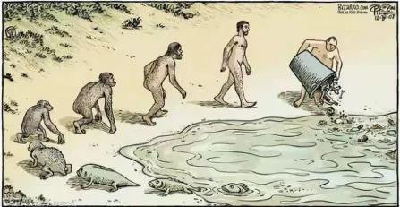 脊椎动物登上陆地。肺鱼可能是与我们四足动物祖先最接近的鱼类近亲。|维基百科