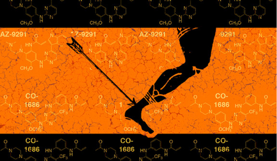 　图片来自yale.edu/Michael S。 Helfenbein