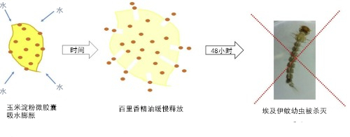  微胶囊技术灭蚊示意图 | 参考文献[5]
