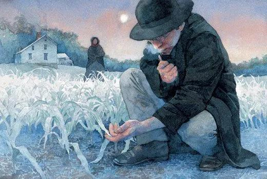 坦博拉火山爆发一年后，美国东北部的大片玉米死于霜冻。图片来源：Greg Harlin