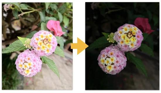 ▲图片来自：一点 OnePoint