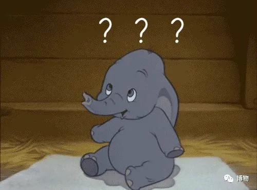 大象：你看我像是个精致的小东西？