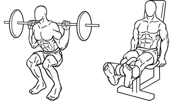 左图负重深蹲增强骨质的效果，优于右图固定器械坐姿腿屈伸训练 | wikimedia