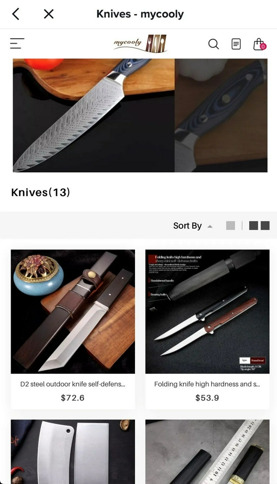 TikTok上链接的独立站 来源 /&nbsp;燃财经截图