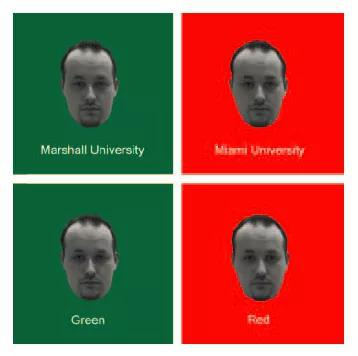 　图1 | 实验组（上）、对照组（下）学生观察到的图片样例
