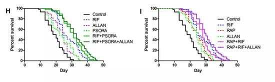 ▲多种药物的联用能更好地延长线虫寿命（图片来源：参考资料[1]）