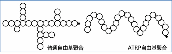 普通自由基聚合形成的支链结构（左）和可控自由基聚合形成的规整结构（右）&nbsp;
