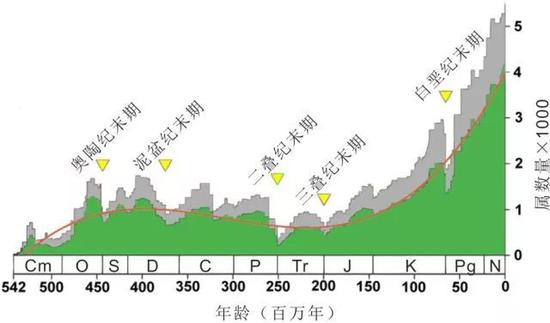 图1&nbsp;&nbsp;显生宙五次生物大绝灭（资料来源：修改自维基百科）