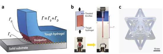 图1。&nbsp; a水凝胶坚韧粘附的机理； b水凝胶和各种医用橡胶材料的坚韧粘附；c复杂形状橡胶/塑料制品