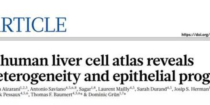 10000多个细胞单独测序 人类最精细肝脏图谱问世 手机新浪网