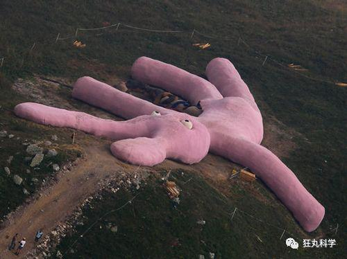 （图片素材来源自gelitin）